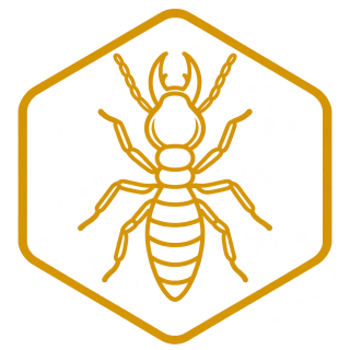 Termite Treatment icon